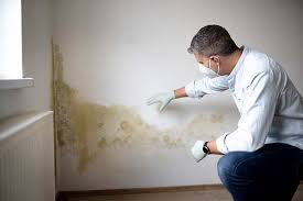 Best Mold Remediation for Healthcare Facilities  in North Massapequa, NY